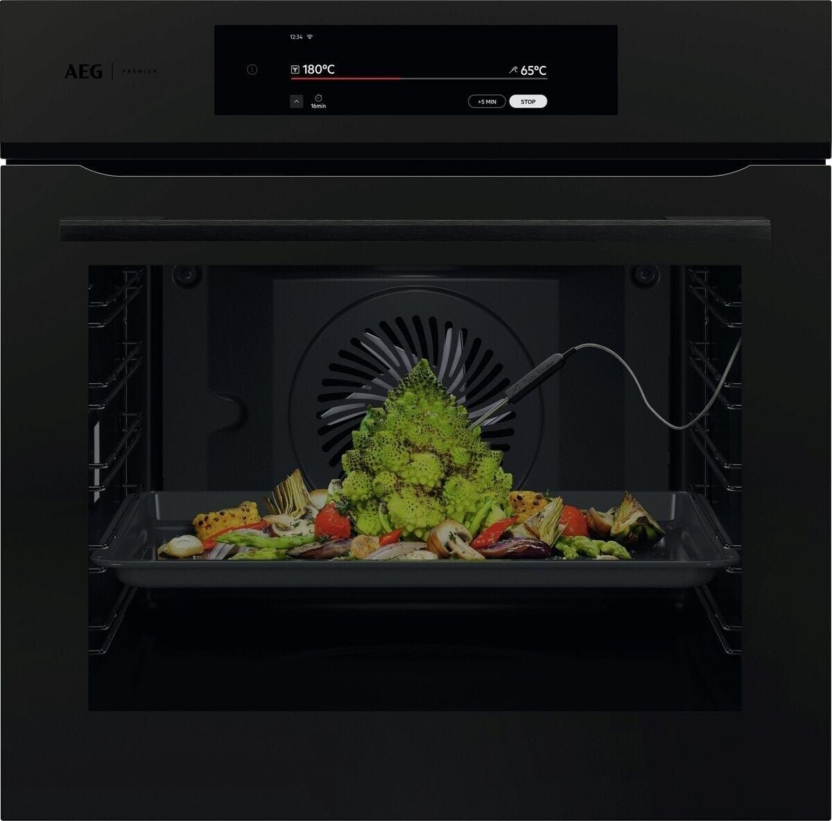 AEG 9000 Series PO9000PT Built-in Pyrolytic Oven – Renew 2 U